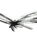 libelle-inkt-tekening-inktsecten
