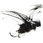 inkt-tekening-vlieg