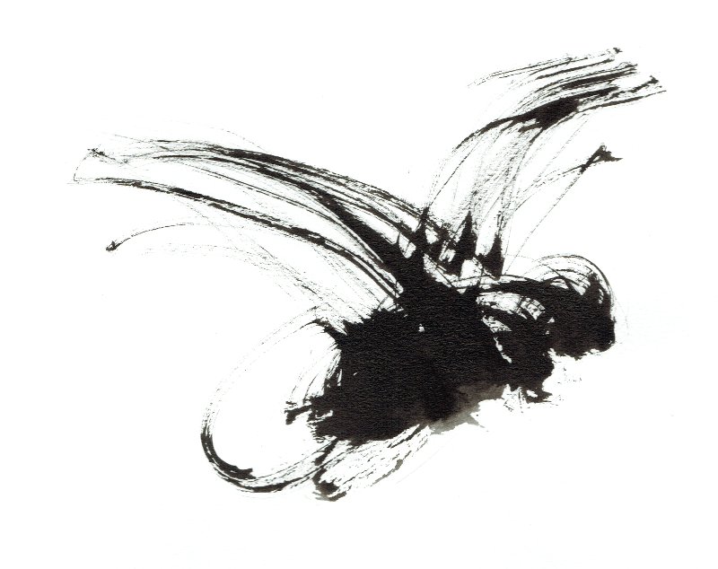 inkt-tekening-vlieg